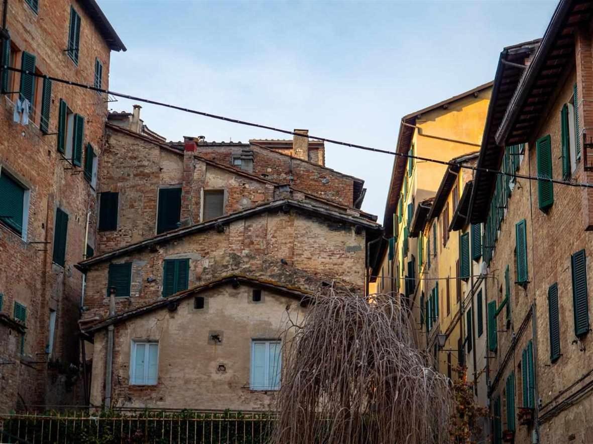 Advocata Nostra Incontro Di Storia E Centralita Siena Eksteriør billede